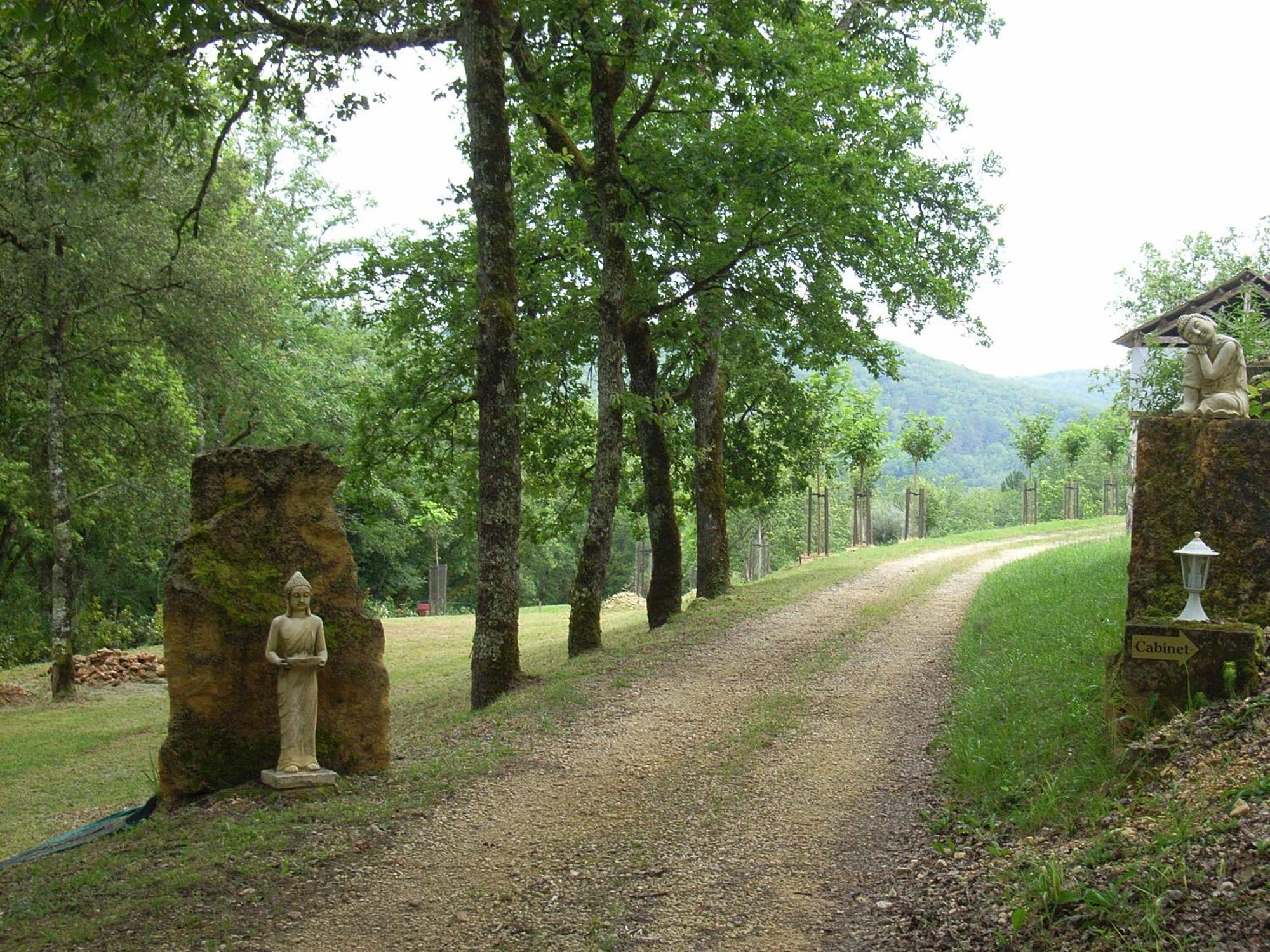 Studio Aux Eyzies Au Coeur De La Vallee De L'Homme Les Eyzies Εξωτερικό φωτογραφία