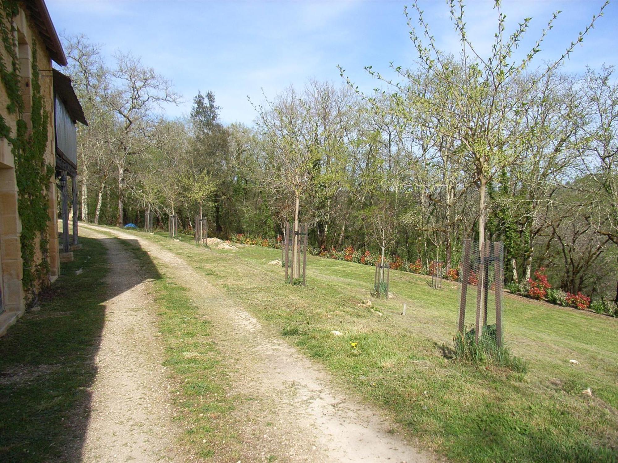 Studio Aux Eyzies Au Coeur De La Vallee De L'Homme Les Eyzies Εξωτερικό φωτογραφία