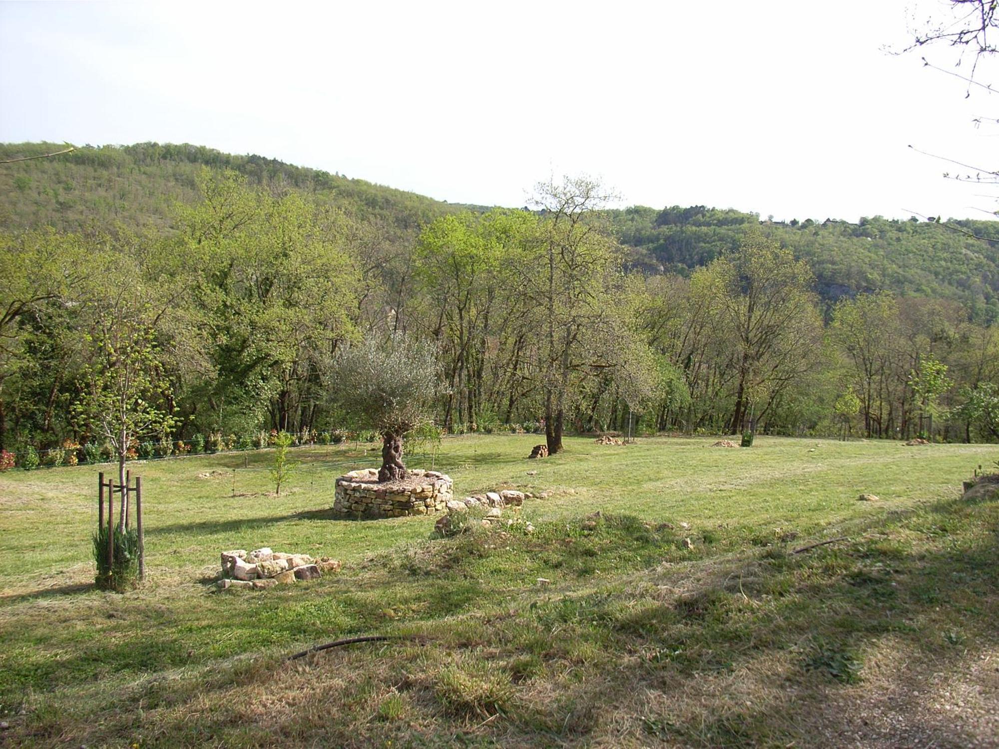 Studio Aux Eyzies Au Coeur De La Vallee De L'Homme Les Eyzies Εξωτερικό φωτογραφία