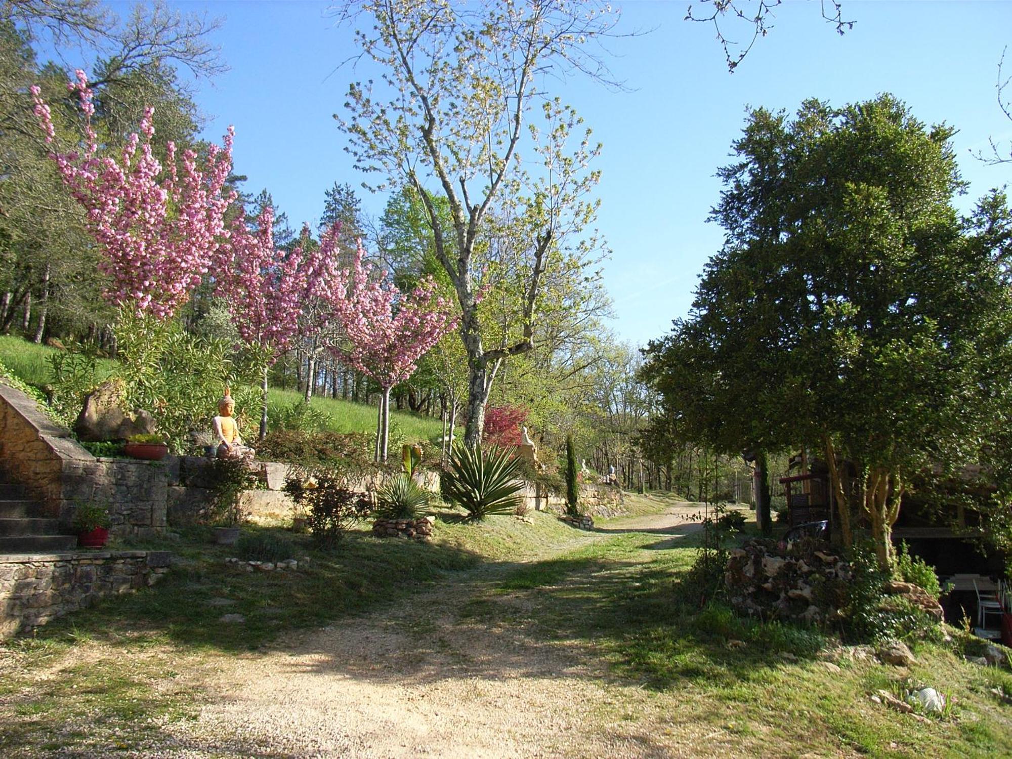 Studio Aux Eyzies Au Coeur De La Vallee De L'Homme Les Eyzies Εξωτερικό φωτογραφία