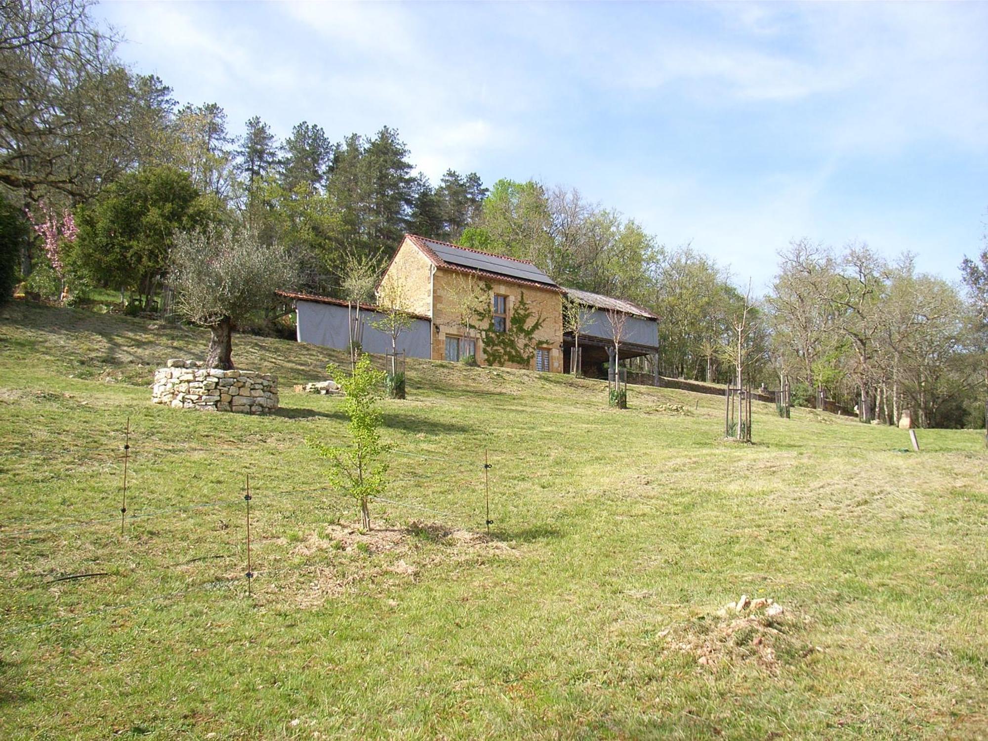 Studio Aux Eyzies Au Coeur De La Vallee De L'Homme Les Eyzies Εξωτερικό φωτογραφία